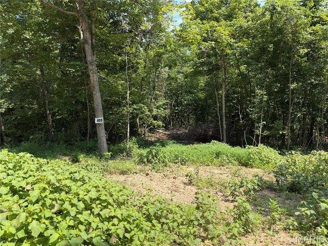 Land for sale in Fredericktown, Missouri