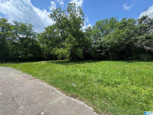 Land for sale in Anniston, Alabama