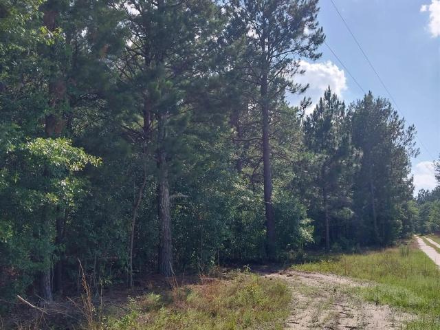 Land for sale in Pelion, South Carolina