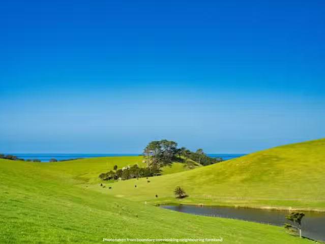 House for sale in Northland