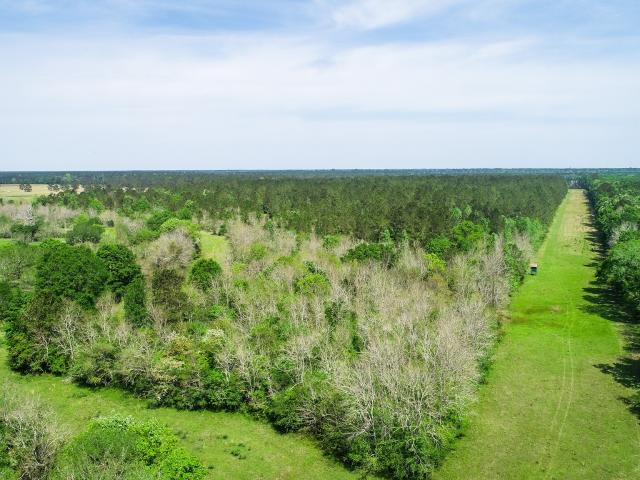 Farm for sale in Batson, Texas