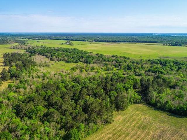 Farm for sale in Batson, Texas