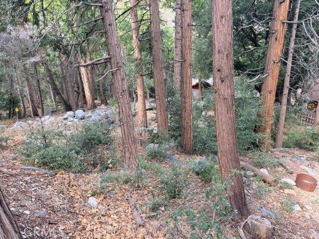 Land for sale in Forest Falls, California