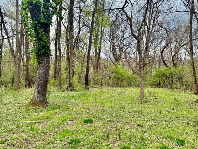 Land for sale in Burlington, Kentucky