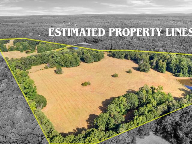 Land for sale in Williamson, Georgia