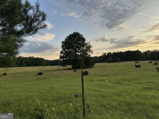 Land for sale in Williamson, Georgia