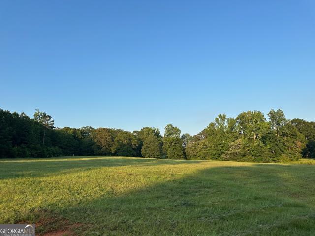 Land for sale in Williamson, Georgia