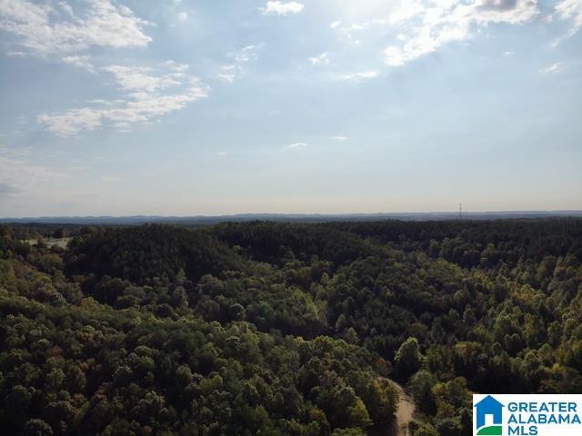 Land for sale in Mineral Springs, Brookside