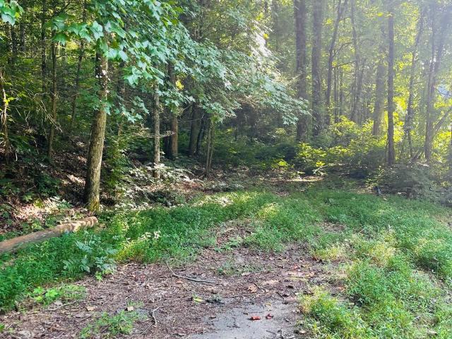 Land for sale in Cleveland, Georgia