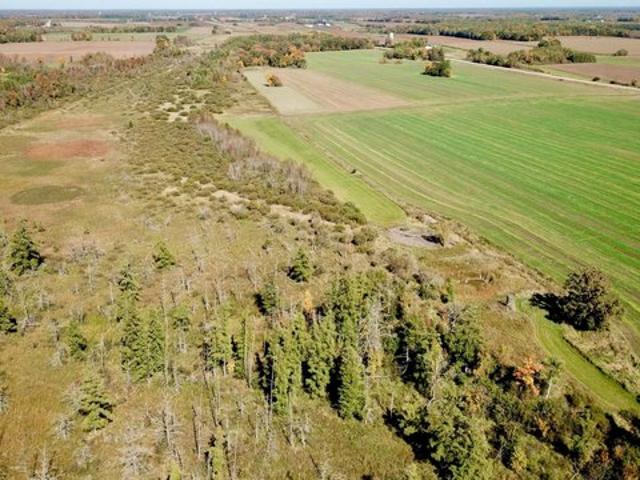 Land for sale in Bertha, Todd County