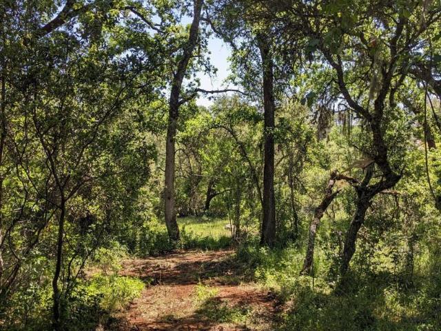 Land for sale in Rescue, California