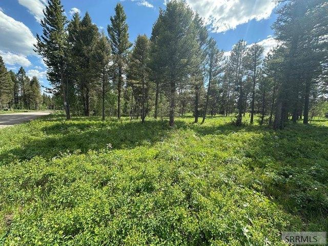 Land for sale in Island Park, Idaho