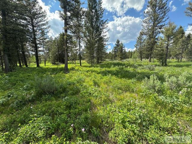 Land for sale in Island Park, Idaho
