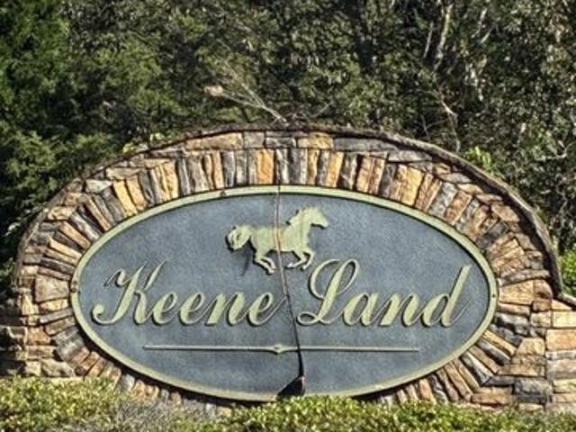 Land for sale in McDonough, Henry County