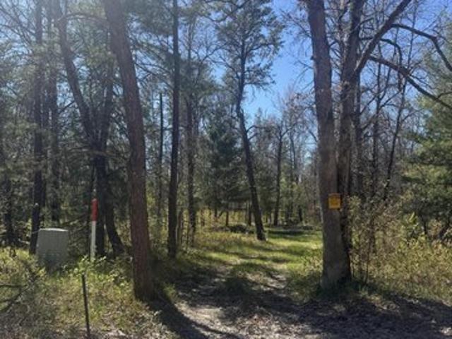Land for sale in Baldwin, Michigan
