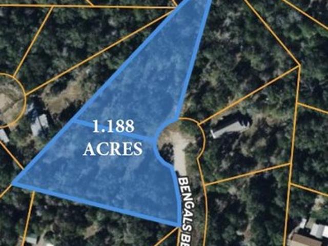 Land for sale in Somerville, Texas