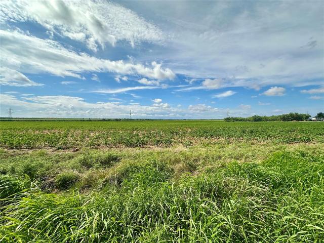 Land for sale in Taylor, Texas