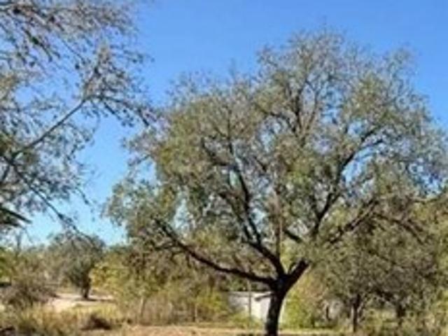 Land for sale in Pleasanton, Texas
