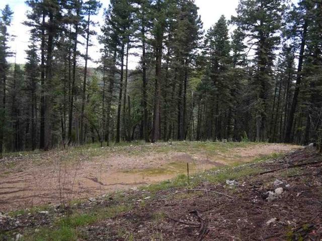 Land for sale in Cloudcroft, New Mexico