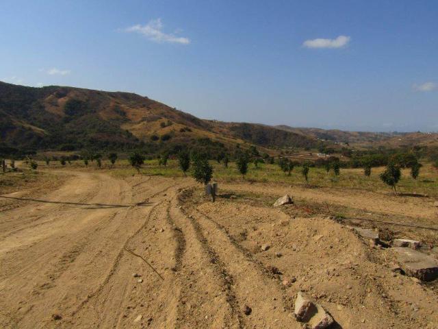 Farm for sale in Ugu District Municipality, Kwazulu-natal