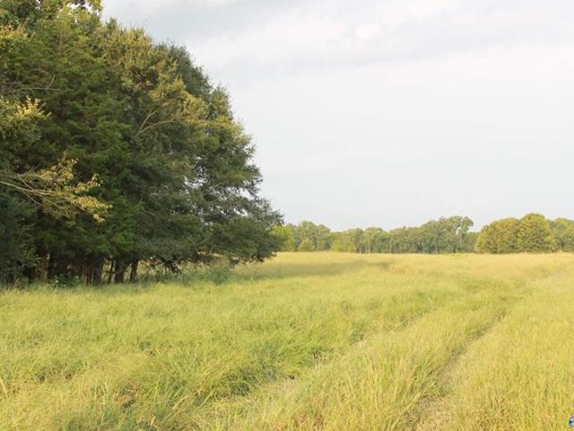Land for sale in Alabama