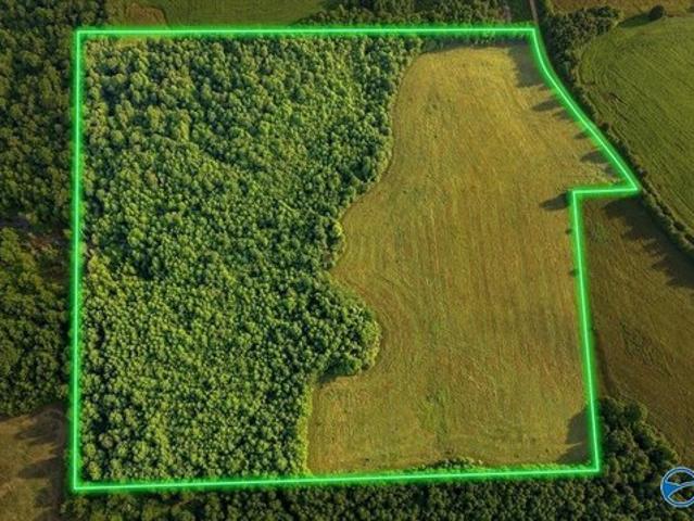 Land for sale in Henagar, Alabama