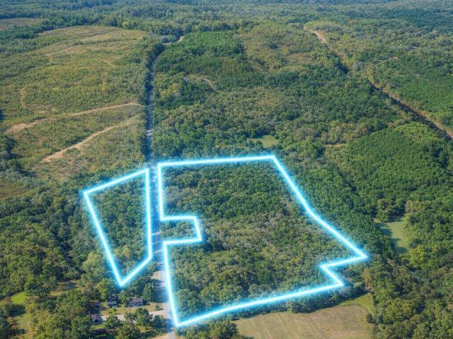 Land for sale in Dale, Alabama
