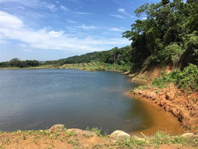 Farm for sale in Ugu District Municipality, Kwazulu-natal