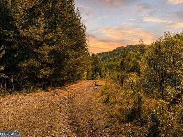 Land for sale in Georgia