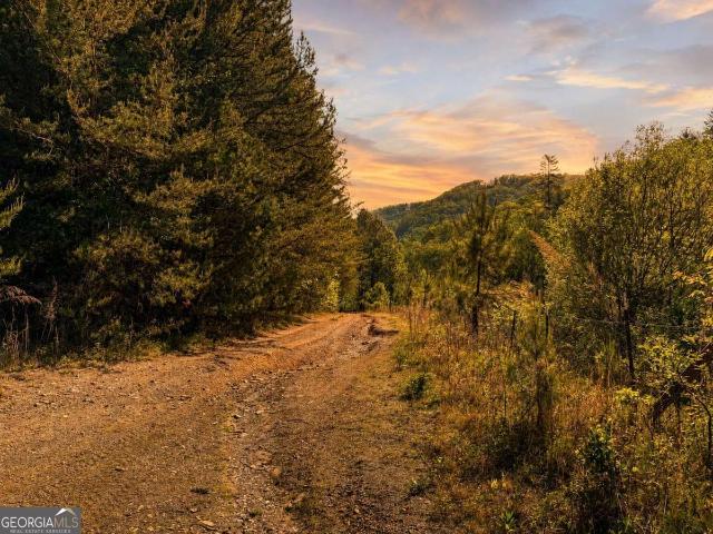 Land for sale in Georgia