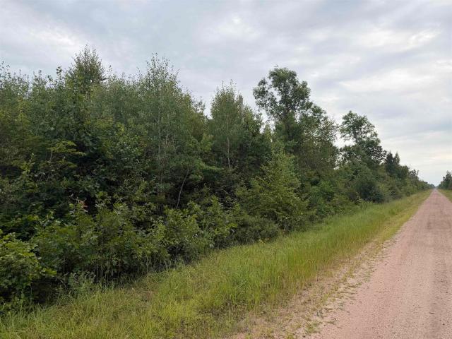 Land for sale in Juneau, Wisconsin