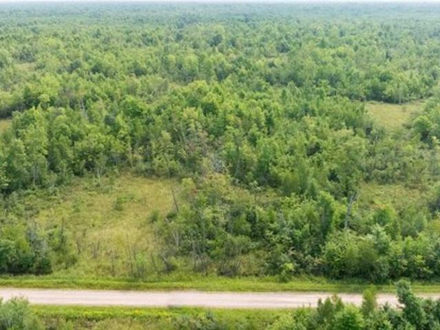 Land for sale in Juneau, Wisconsin