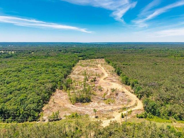 Land for sale in Water Valley, Mississippi