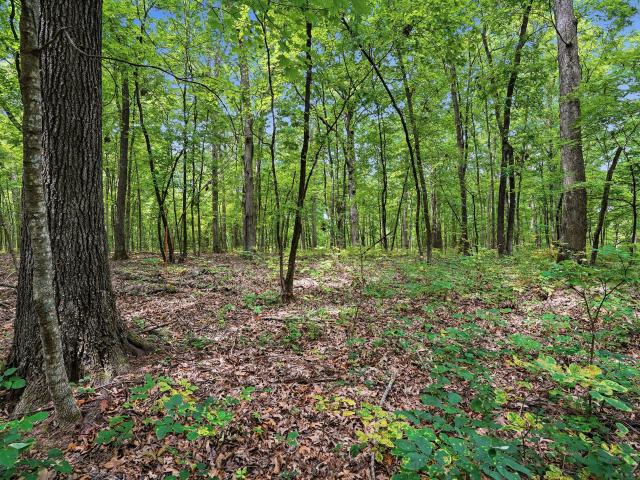 Land for sale in Ashland, Missouri