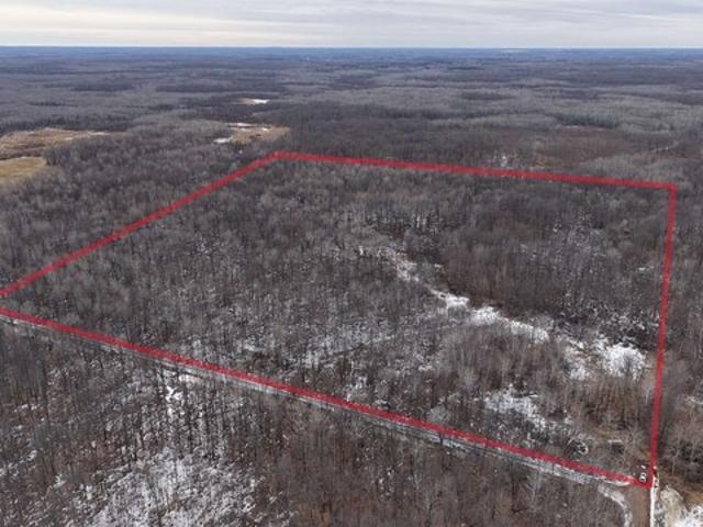 Land for sale in Marathon, Wisconsin