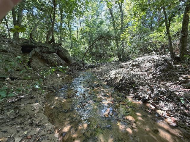 Land for sale in Leon, Texas