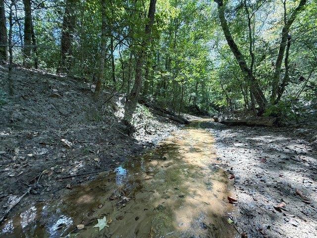 Land for sale in Leon, Texas