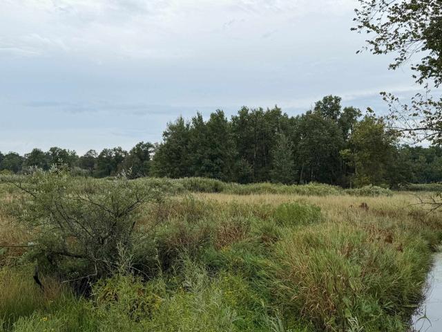 Land for sale in Juneau, Wisconsin