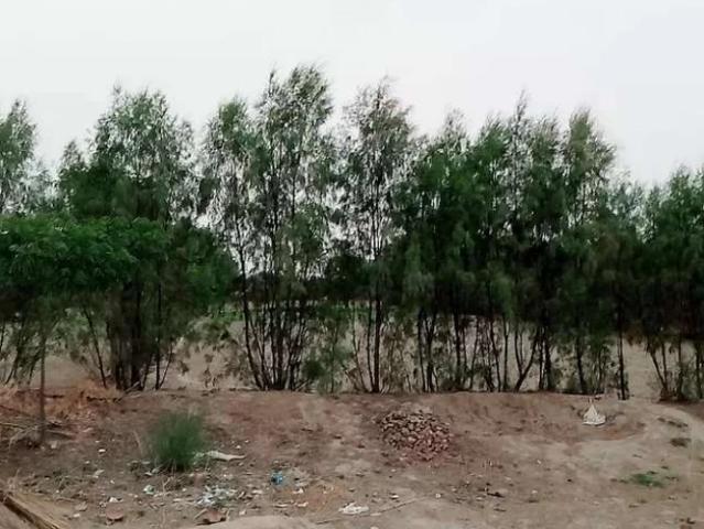 Land for sale in Islamabad Capital Territory
