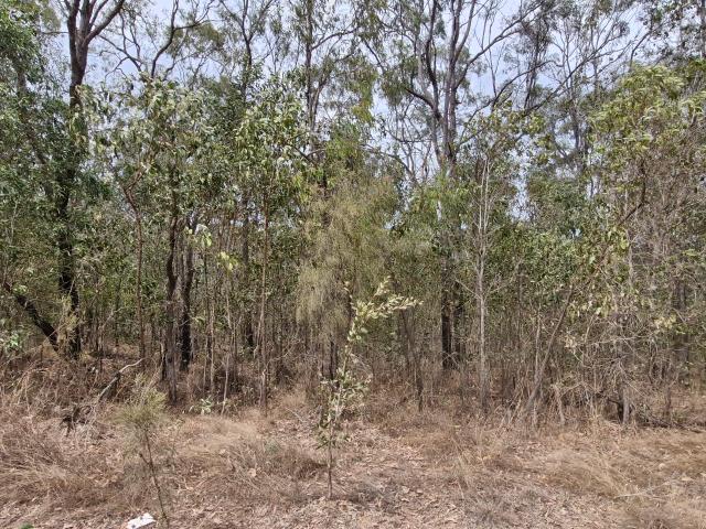 Property for sale in Euleilah, Queensland