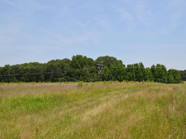 Commercial Land for sale in Fisher