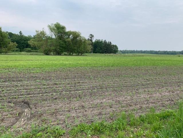 Land for sale in Juneau, Wisconsin
