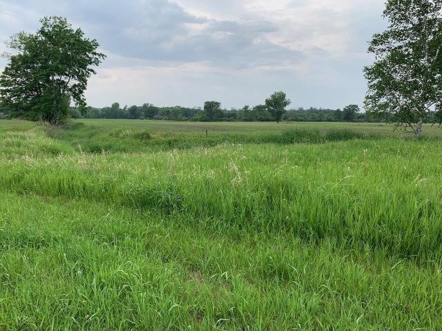 Land for sale in Juneau, Wisconsin