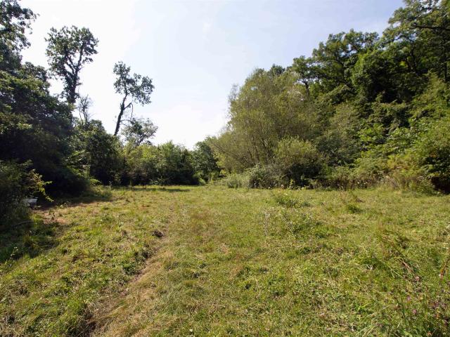 Land for sale in Wisconsin