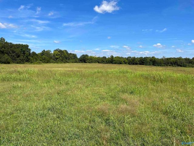 Land for sale in Alabama