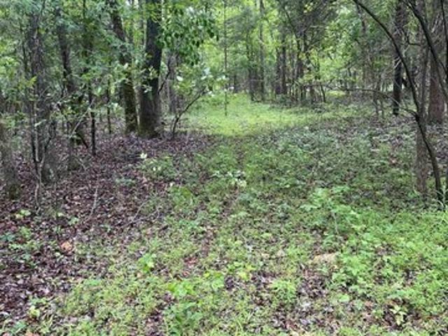 Land for sale in Ark