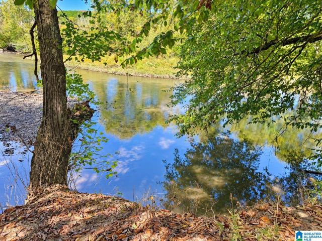 Land for sale in Woodland, Randolph County
