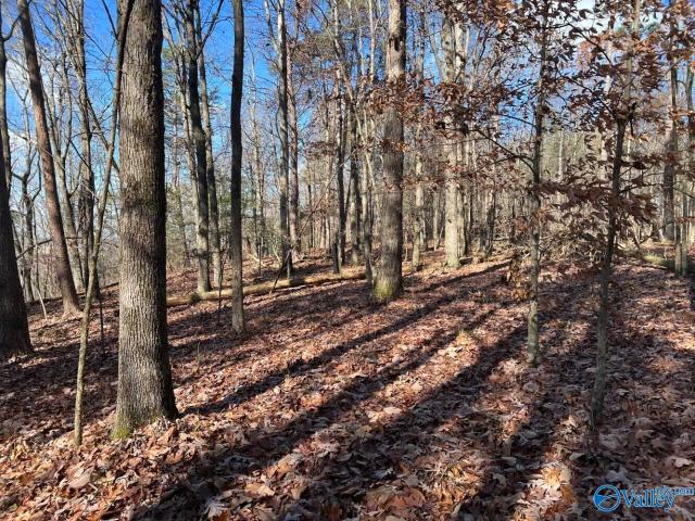 Land for sale in Collinsville, Alabama