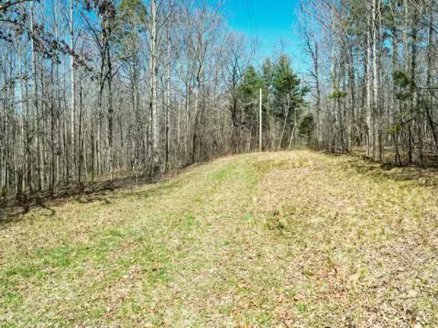 House for rent in Flat Rock, Alabama
