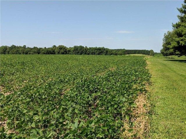 Land for sale in Glen Flora, Wisconsin